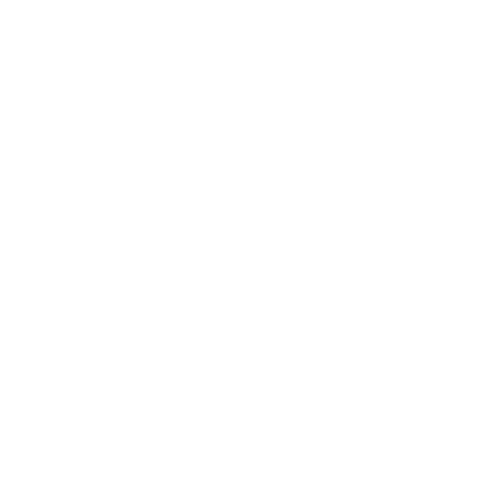 Logo SkyCash kwadrat biały