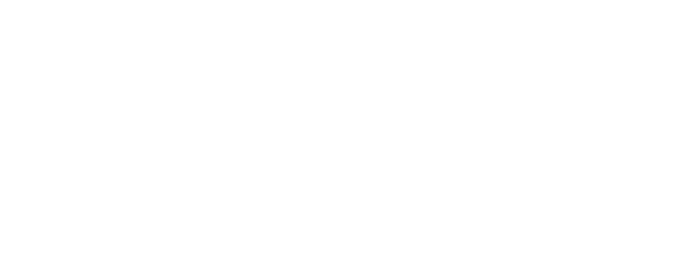 Logotyp SkyCash biały